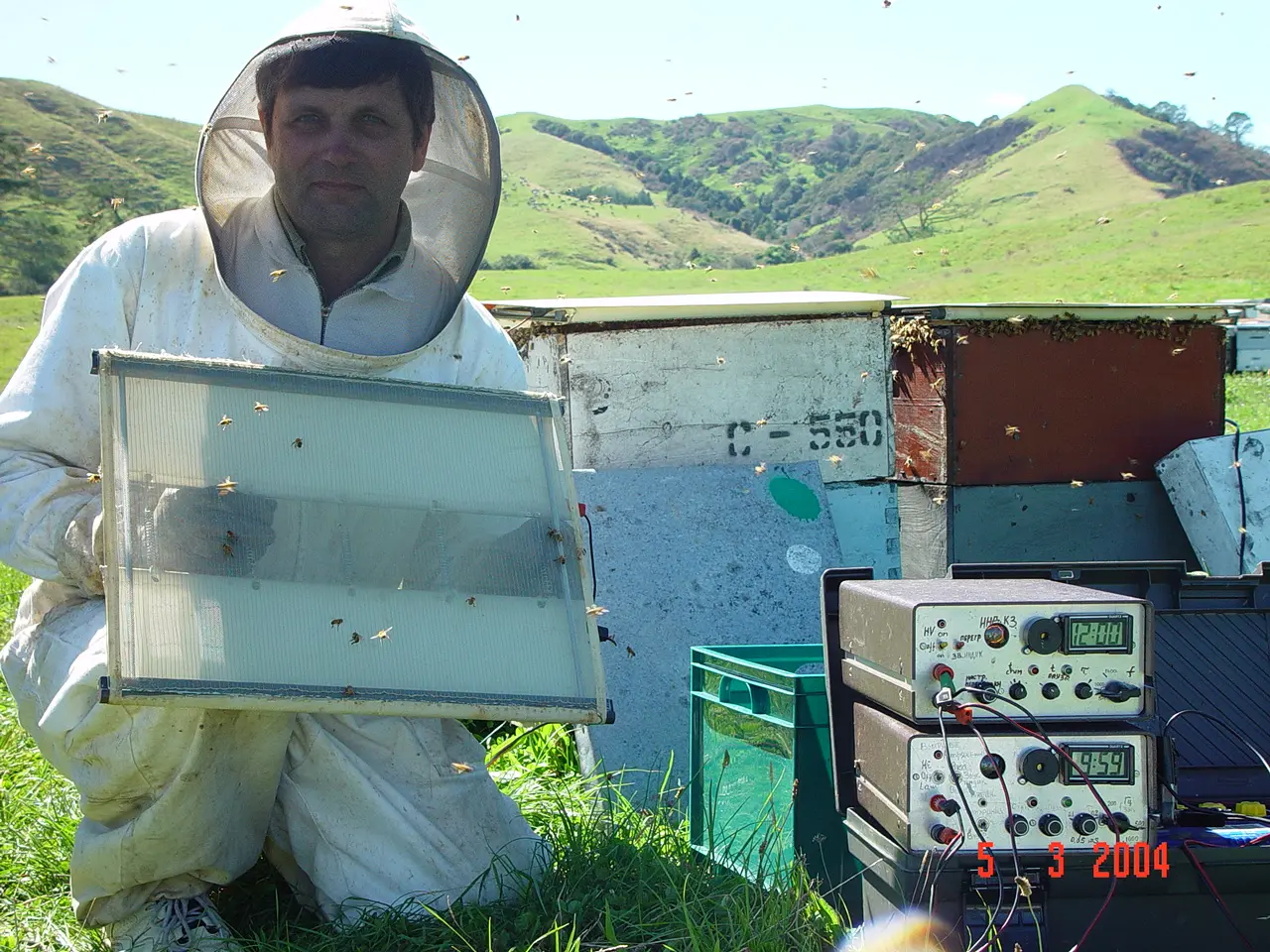 Bee Venom Collection Technology illustration